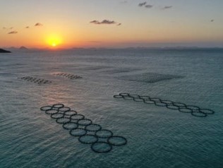 海洋碳匯對(duì)地方財(cái)政收入影響分析——以大陳島為例